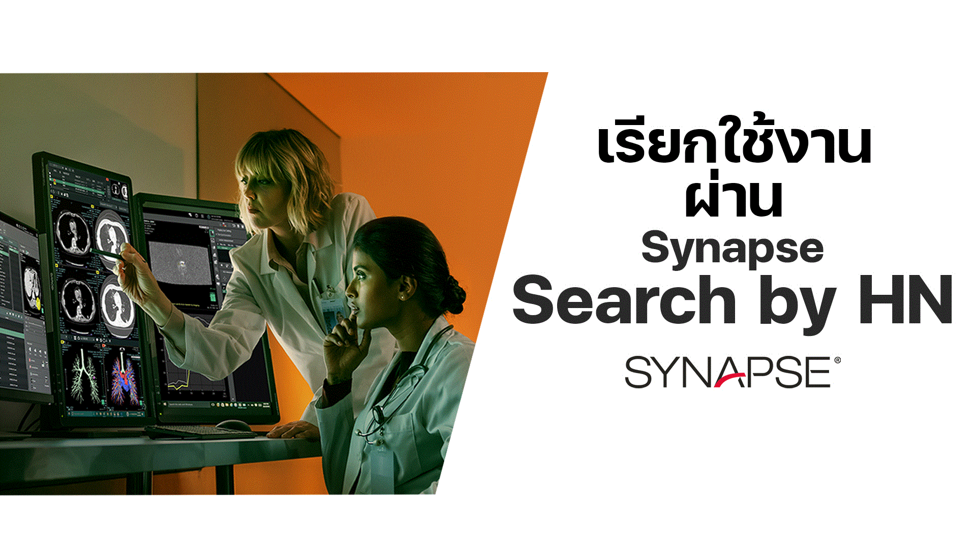 การใช้งานผ่าน Synapse Search by HN