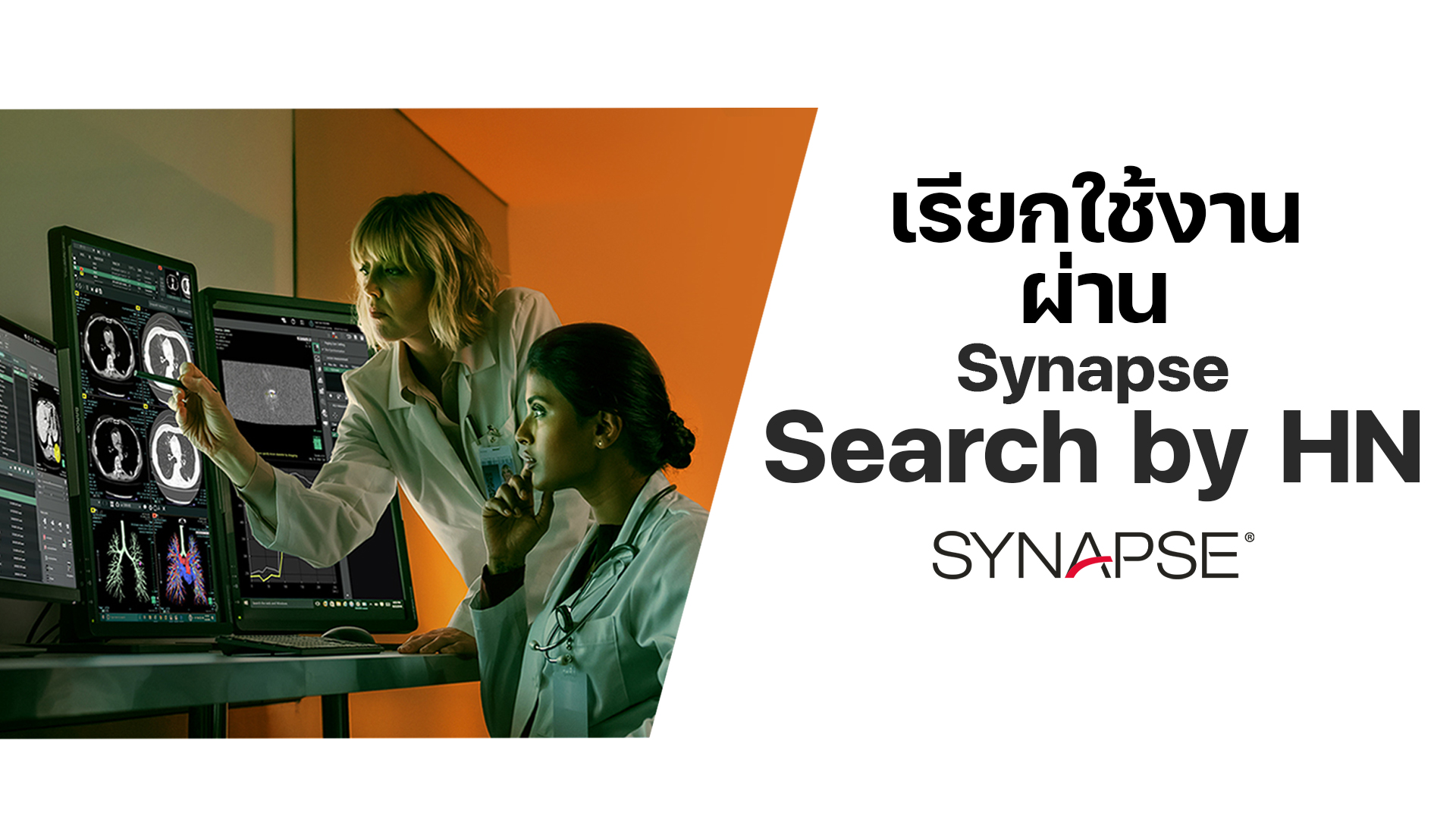 การใช้งานผ่าน Synapse Search by HN